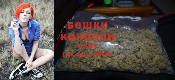 spice Рославль