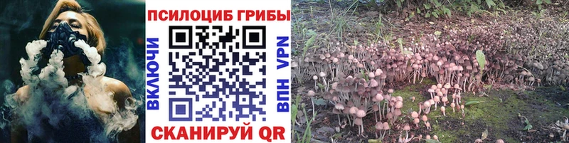 Галлюциногенные грибы GOLDEN TEACHER купить Тогучин