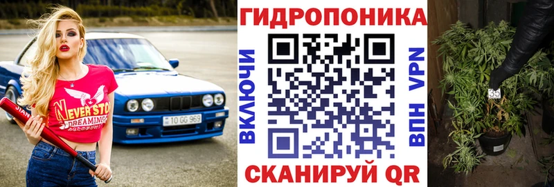 Марихуана ГИДРОПОН дарк нет Telegram Тогучин где купить наркоту